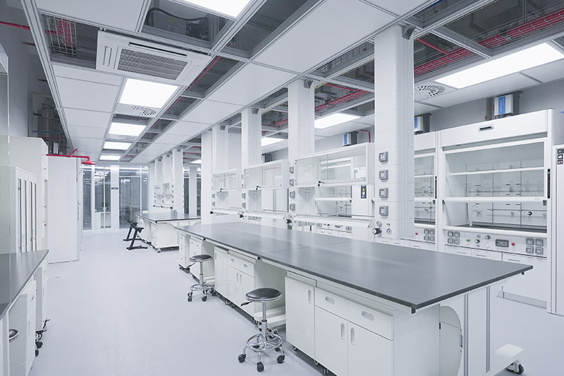 龙州实验室革新：安全与科技的现代融合